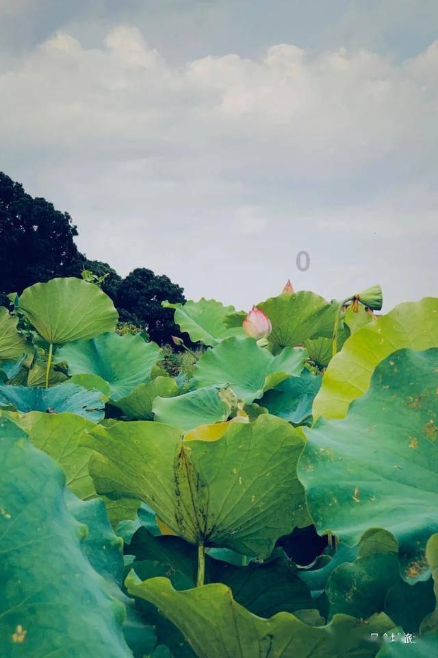 探索
